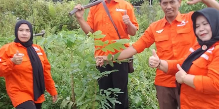 HUT Ke-1 Gerakan Rakyat: DPW Kalteng dan DPD Katingan Perkuat Komitmen Lingkungan Lewat Aksi Tanam Pohon